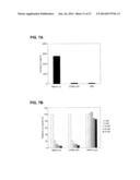 MODIFIED SIRNA MOLECULES AND USES THEREOF diagram and image