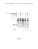 DELIVERY, ENGINEERING AND OPTIMIZATION OF SYSTEMS, METHODS AND     COMPOSITIONS FOR SEQUENCE MANIPULATION AND THERAPEUTIC APPLICATIONS diagram and image