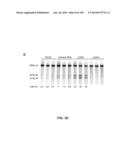 DELIVERY, ENGINEERING AND OPTIMIZATION OF SYSTEMS, METHODS AND     COMPOSITIONS FOR SEQUENCE MANIPULATION AND THERAPEUTIC APPLICATIONS diagram and image