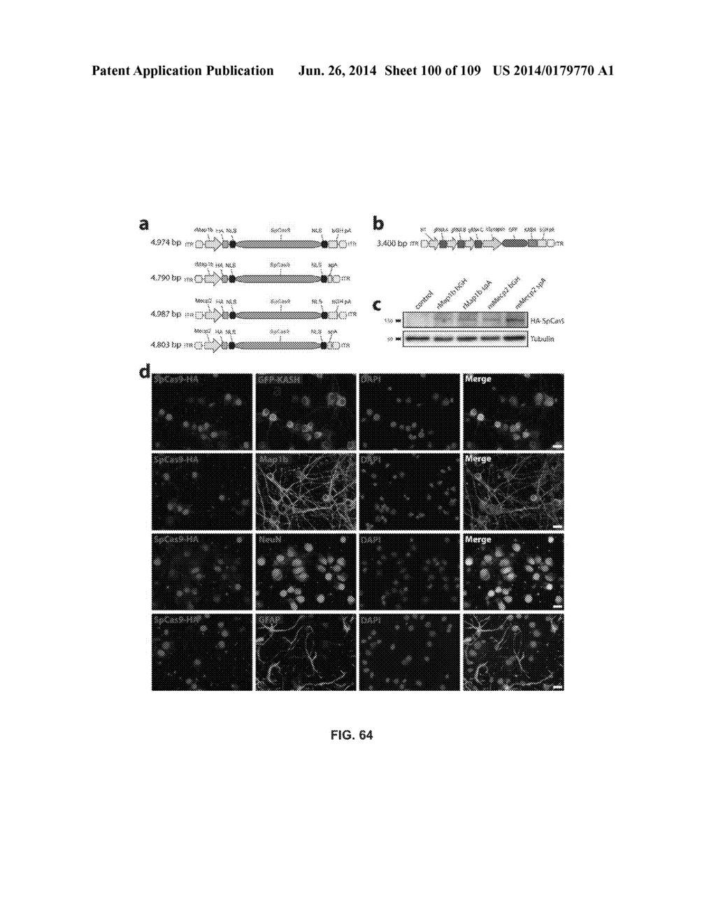 DELIVERY, ENGINEERING AND OPTIMIZATION OF SYSTEMS, METHODS AND     COMPOSITIONS FOR SEQUENCE MANIPULATION AND THERAPEUTIC APPLICATIONS - diagram, schematic, and image 101