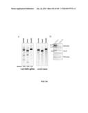 DELIVERY, ENGINEERING AND OPTIMIZATION OF SYSTEMS, METHODS AND     COMPOSITIONS FOR SEQUENCE MANIPULATION AND THERAPEUTIC APPLICATIONS diagram and image