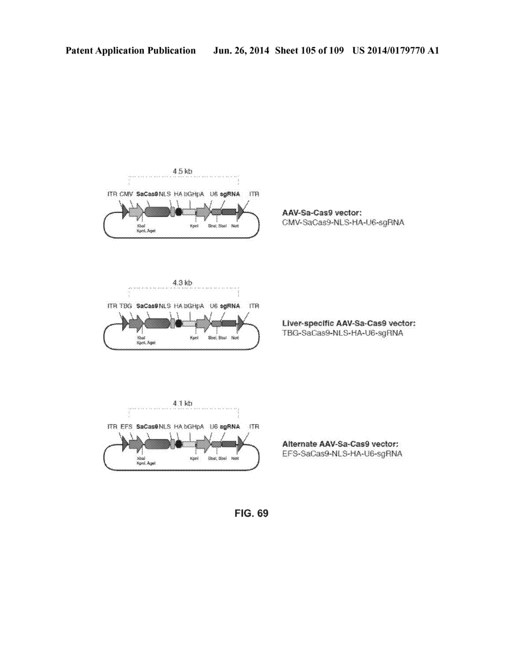 DELIVERY, ENGINEERING AND OPTIMIZATION OF SYSTEMS, METHODS AND     COMPOSITIONS FOR SEQUENCE MANIPULATION AND THERAPEUTIC APPLICATIONS - diagram, schematic, and image 106