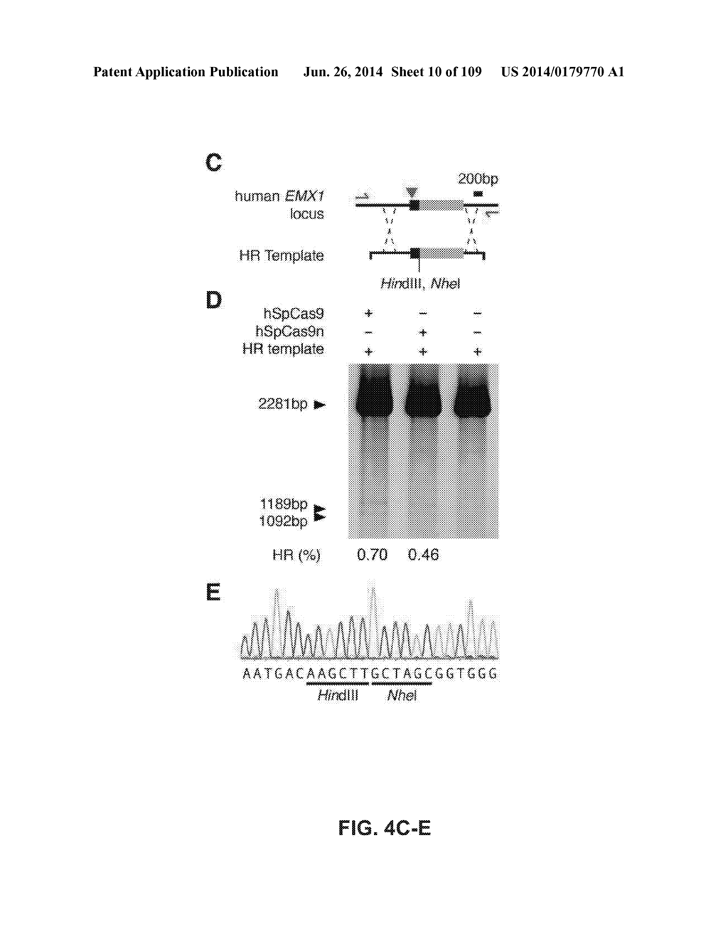 DELIVERY, ENGINEERING AND OPTIMIZATION OF SYSTEMS, METHODS AND     COMPOSITIONS FOR SEQUENCE MANIPULATION AND THERAPEUTIC APPLICATIONS - diagram, schematic, and image 11