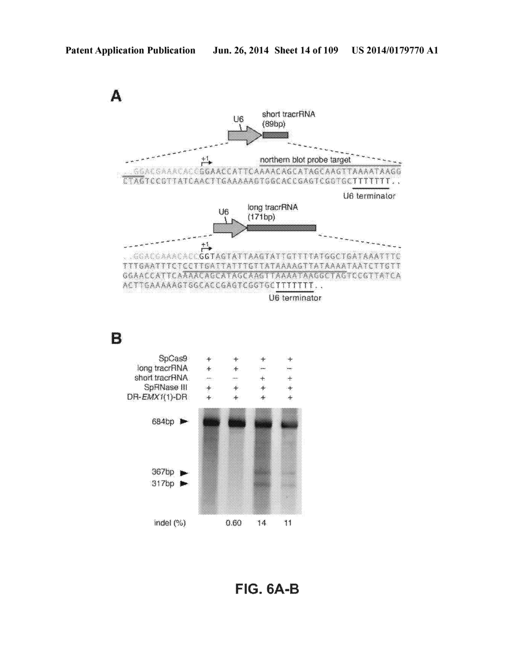 DELIVERY, ENGINEERING AND OPTIMIZATION OF SYSTEMS, METHODS AND     COMPOSITIONS FOR SEQUENCE MANIPULATION AND THERAPEUTIC APPLICATIONS - diagram, schematic, and image 15