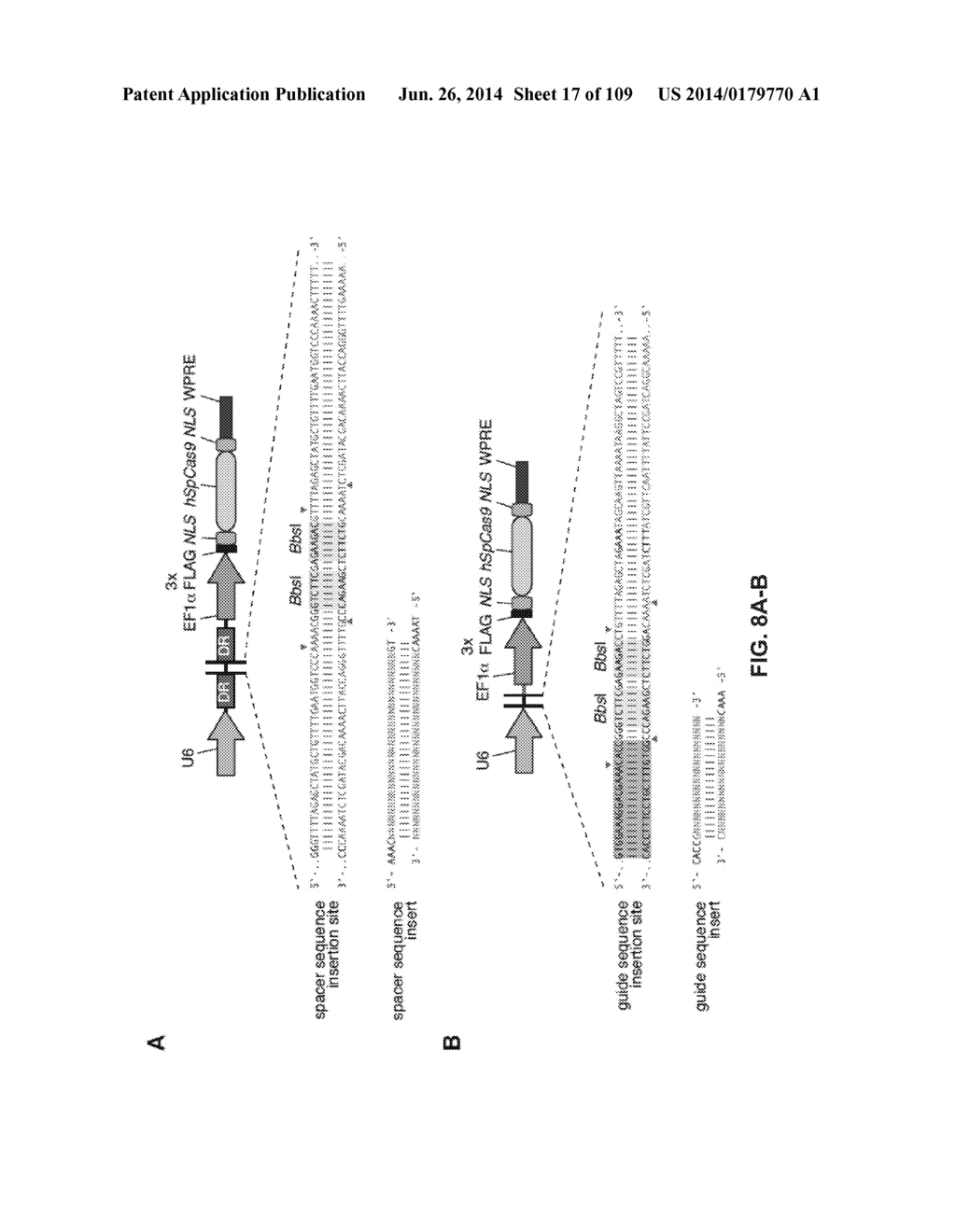 DELIVERY, ENGINEERING AND OPTIMIZATION OF SYSTEMS, METHODS AND     COMPOSITIONS FOR SEQUENCE MANIPULATION AND THERAPEUTIC APPLICATIONS - diagram, schematic, and image 18