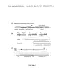 DELIVERY, ENGINEERING AND OPTIMIZATION OF SYSTEMS, METHODS AND     COMPOSITIONS FOR SEQUENCE MANIPULATION AND THERAPEUTIC APPLICATIONS diagram and image