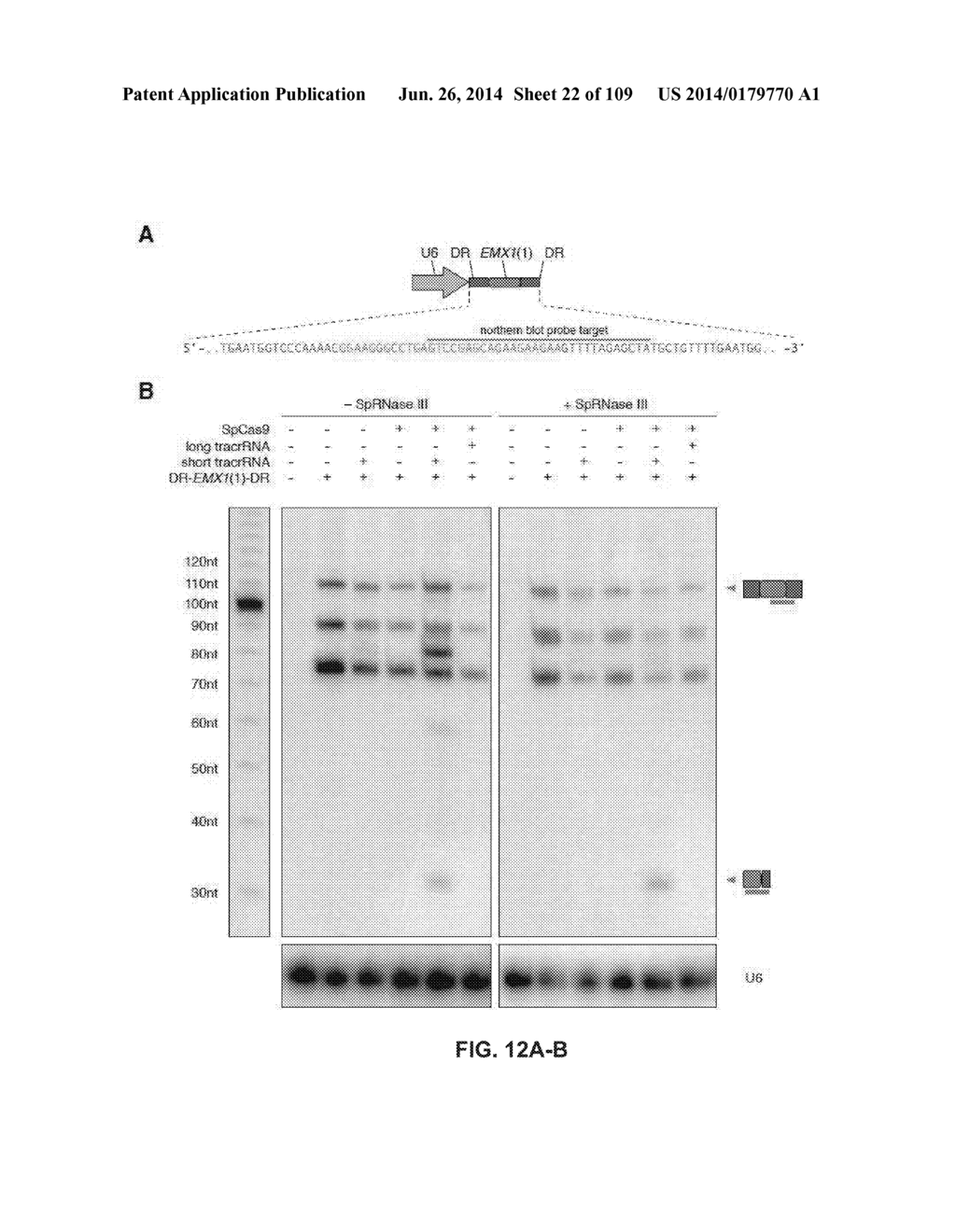 DELIVERY, ENGINEERING AND OPTIMIZATION OF SYSTEMS, METHODS AND     COMPOSITIONS FOR SEQUENCE MANIPULATION AND THERAPEUTIC APPLICATIONS - diagram, schematic, and image 23