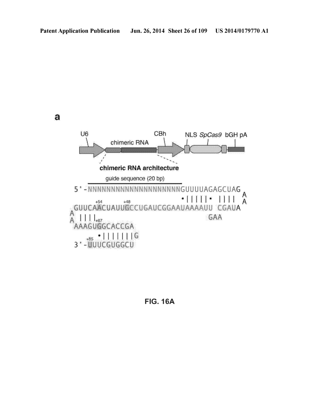 DELIVERY, ENGINEERING AND OPTIMIZATION OF SYSTEMS, METHODS AND     COMPOSITIONS FOR SEQUENCE MANIPULATION AND THERAPEUTIC APPLICATIONS - diagram, schematic, and image 27