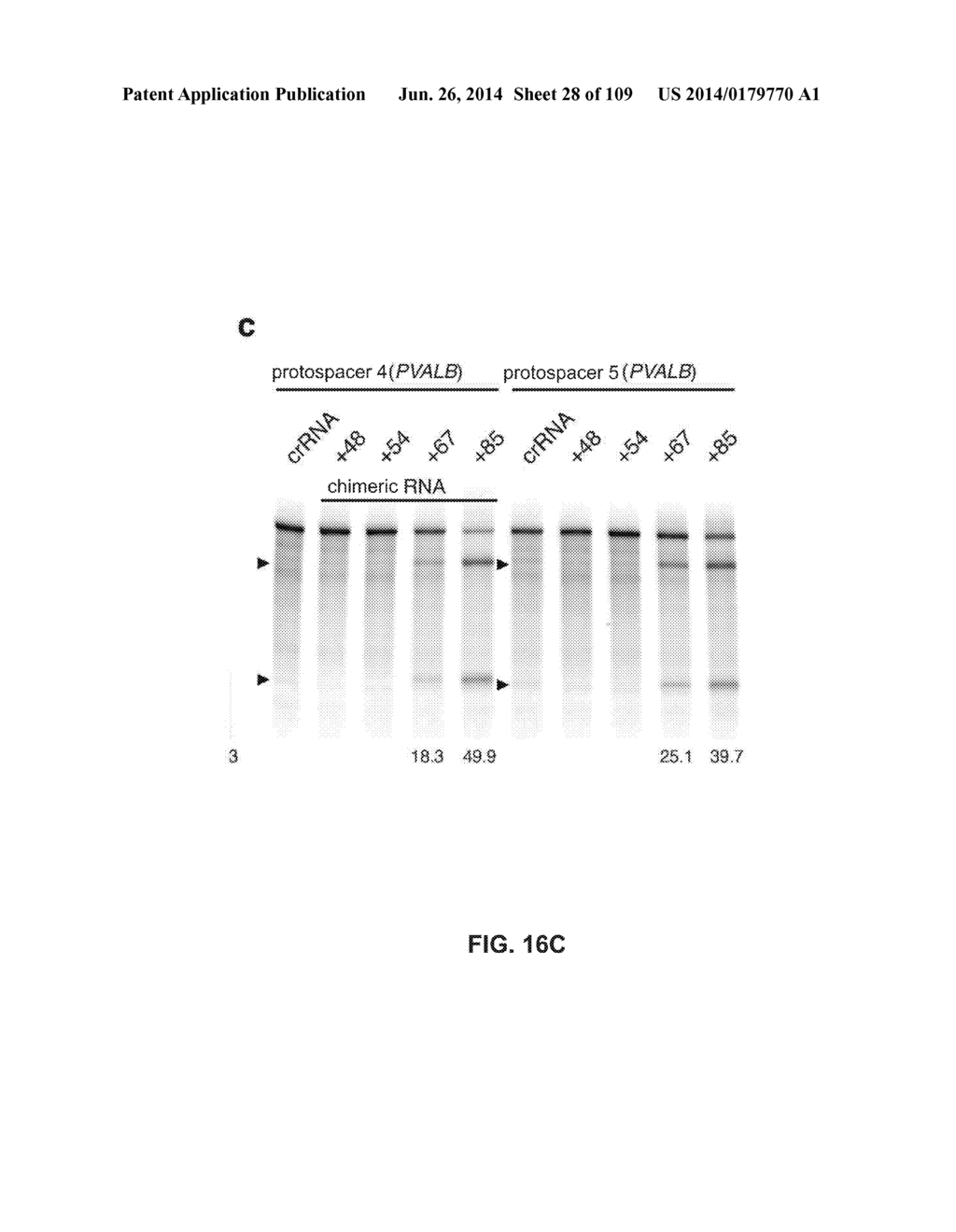 DELIVERY, ENGINEERING AND OPTIMIZATION OF SYSTEMS, METHODS AND     COMPOSITIONS FOR SEQUENCE MANIPULATION AND THERAPEUTIC APPLICATIONS - diagram, schematic, and image 29