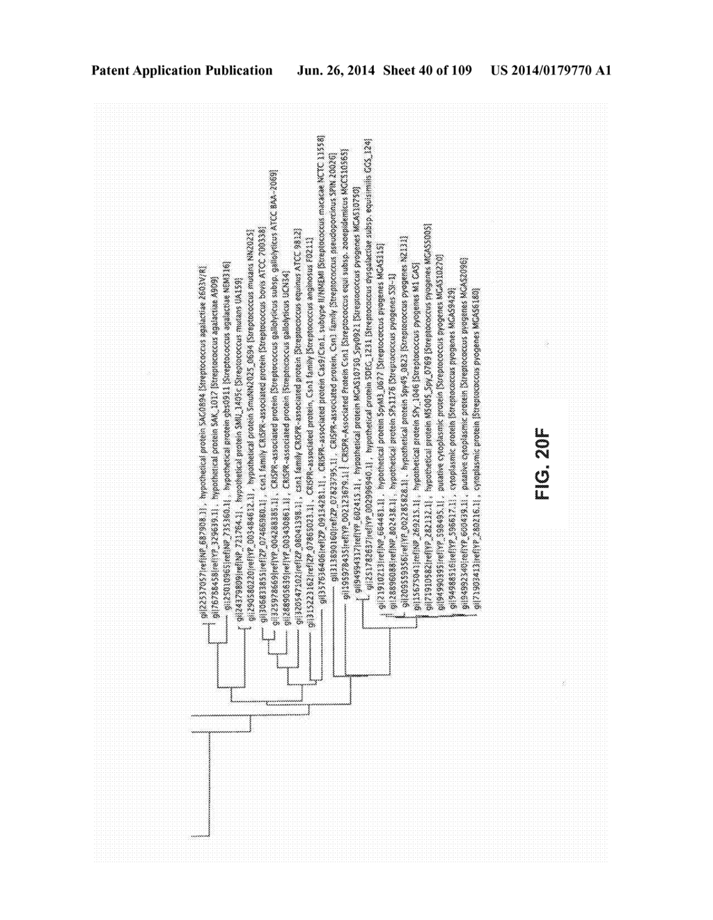 DELIVERY, ENGINEERING AND OPTIMIZATION OF SYSTEMS, METHODS AND     COMPOSITIONS FOR SEQUENCE MANIPULATION AND THERAPEUTIC APPLICATIONS - diagram, schematic, and image 41