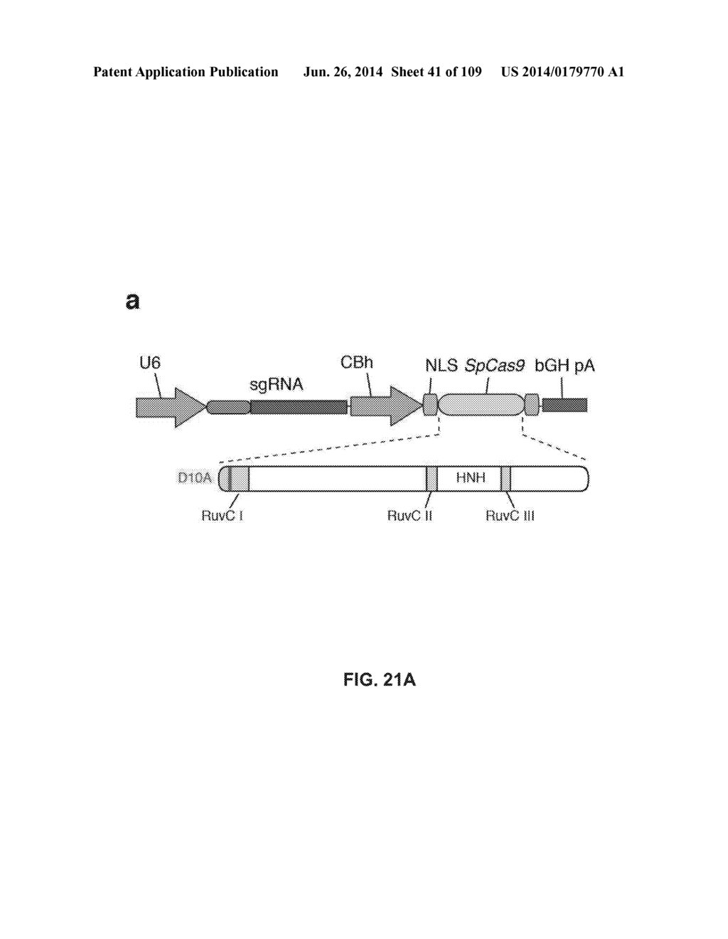 DELIVERY, ENGINEERING AND OPTIMIZATION OF SYSTEMS, METHODS AND     COMPOSITIONS FOR SEQUENCE MANIPULATION AND THERAPEUTIC APPLICATIONS - diagram, schematic, and image 42