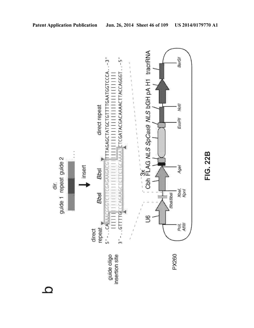 DELIVERY, ENGINEERING AND OPTIMIZATION OF SYSTEMS, METHODS AND     COMPOSITIONS FOR SEQUENCE MANIPULATION AND THERAPEUTIC APPLICATIONS - diagram, schematic, and image 47