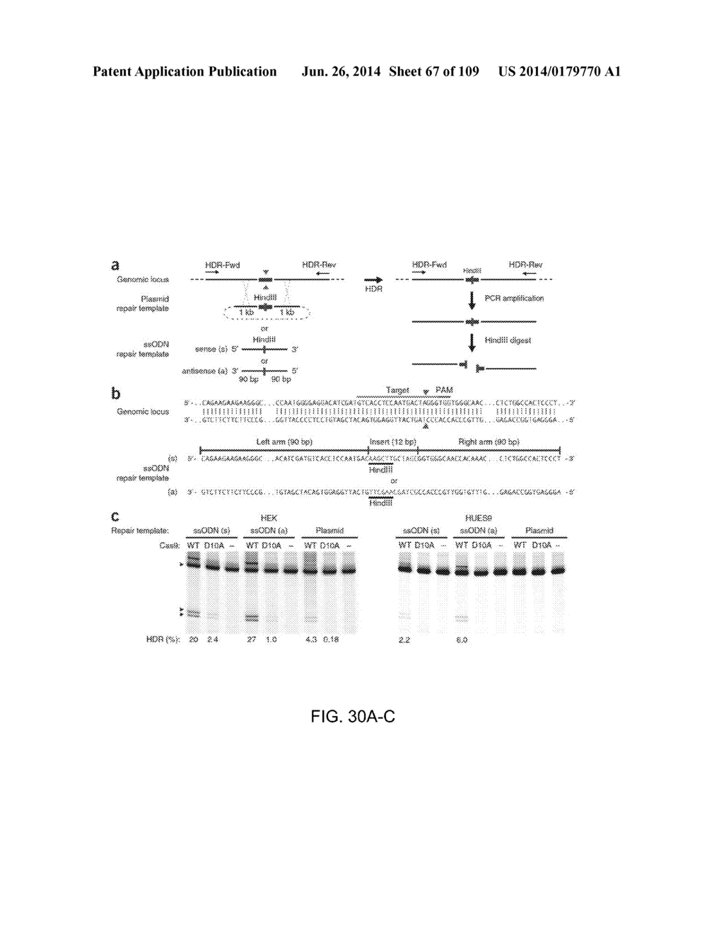 DELIVERY, ENGINEERING AND OPTIMIZATION OF SYSTEMS, METHODS AND     COMPOSITIONS FOR SEQUENCE MANIPULATION AND THERAPEUTIC APPLICATIONS - diagram, schematic, and image 68