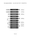 DELIVERY, ENGINEERING AND OPTIMIZATION OF SYSTEMS, METHODS AND     COMPOSITIONS FOR SEQUENCE MANIPULATION AND THERAPEUTIC APPLICATIONS diagram and image