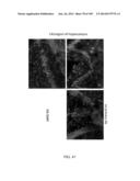 DELIVERY, ENGINEERING AND OPTIMIZATION OF SYSTEMS, METHODS AND     COMPOSITIONS FOR SEQUENCE MANIPULATION AND THERAPEUTIC APPLICATIONS diagram and image