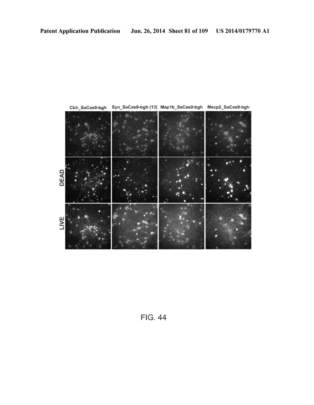 DELIVERY, ENGINEERING AND OPTIMIZATION OF SYSTEMS, METHODS AND     COMPOSITIONS FOR SEQUENCE MANIPULATION AND THERAPEUTIC APPLICATIONS - diagram, schematic, and image 82