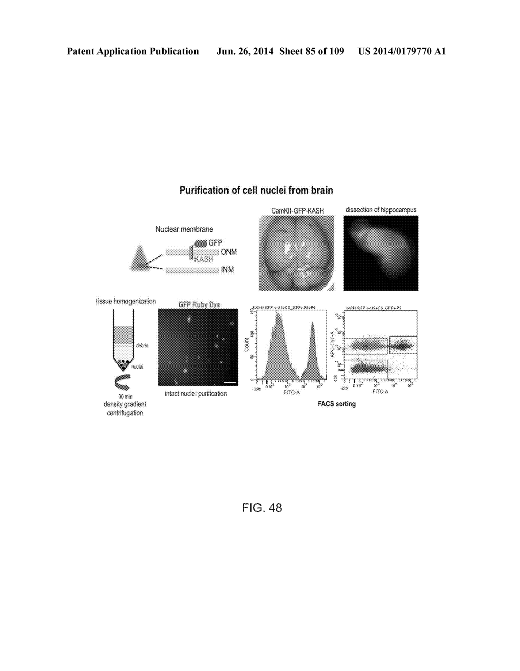 DELIVERY, ENGINEERING AND OPTIMIZATION OF SYSTEMS, METHODS AND     COMPOSITIONS FOR SEQUENCE MANIPULATION AND THERAPEUTIC APPLICATIONS - diagram, schematic, and image 86