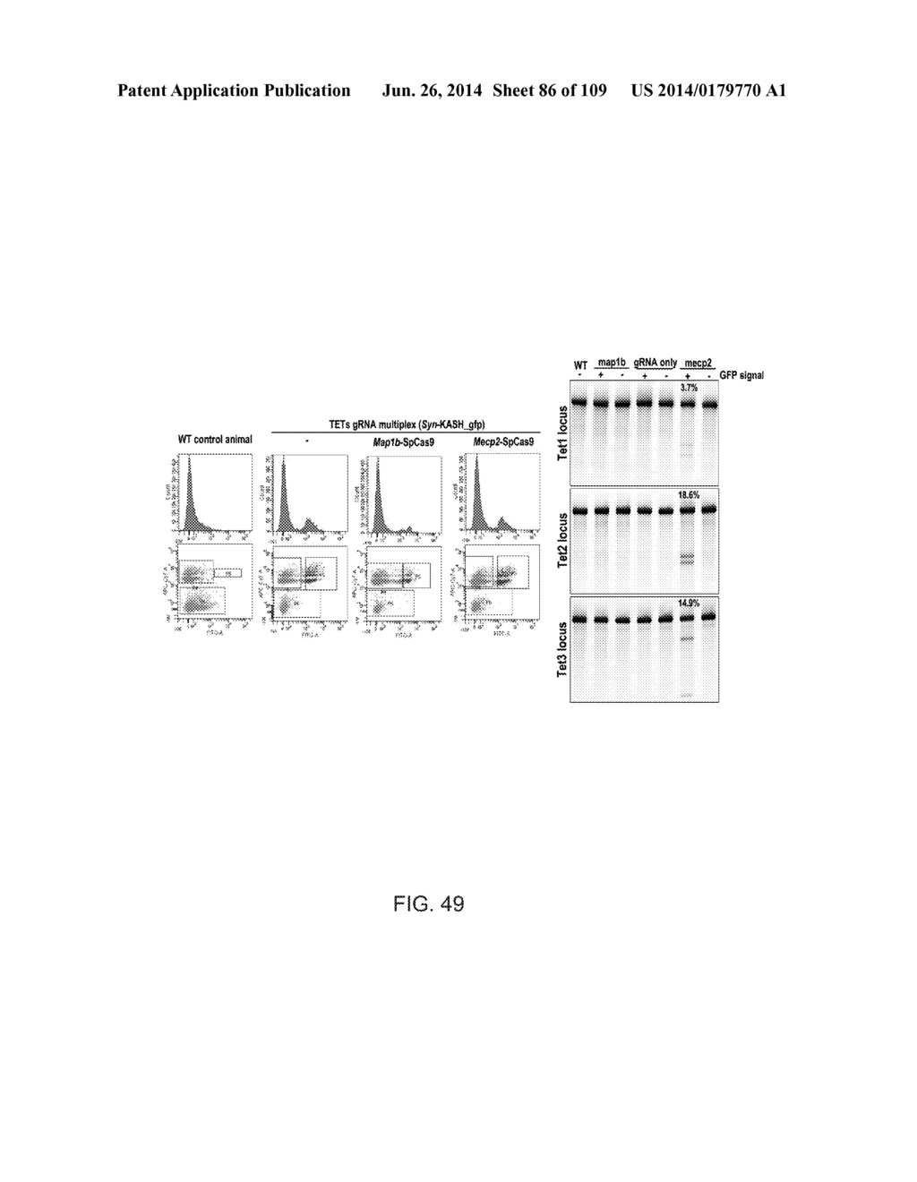 DELIVERY, ENGINEERING AND OPTIMIZATION OF SYSTEMS, METHODS AND     COMPOSITIONS FOR SEQUENCE MANIPULATION AND THERAPEUTIC APPLICATIONS - diagram, schematic, and image 87