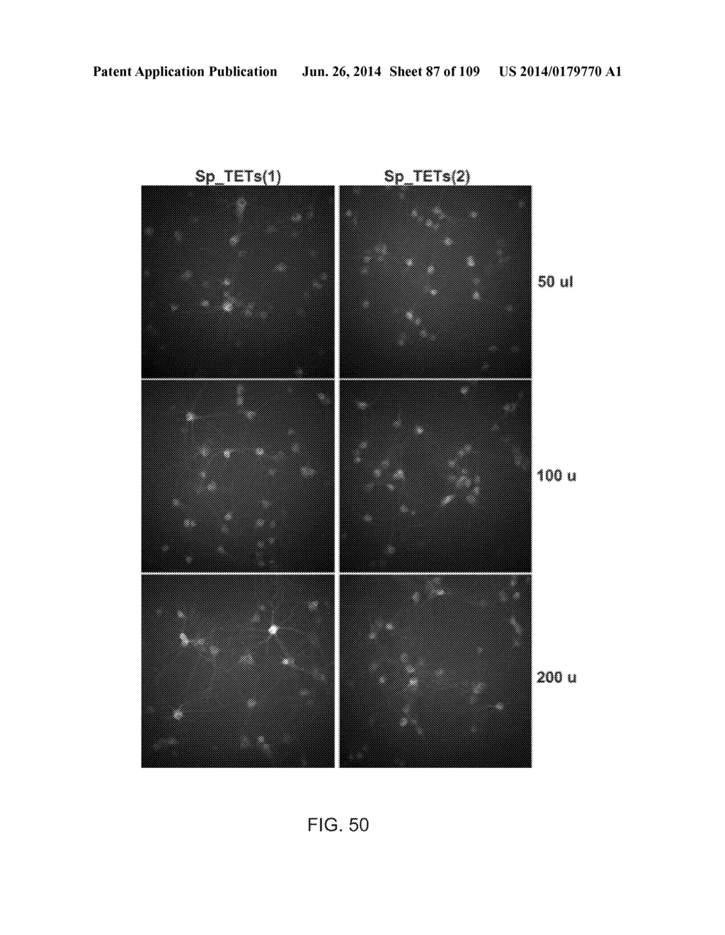 DELIVERY, ENGINEERING AND OPTIMIZATION OF SYSTEMS, METHODS AND     COMPOSITIONS FOR SEQUENCE MANIPULATION AND THERAPEUTIC APPLICATIONS - diagram, schematic, and image 88