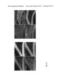 DELIVERY, ENGINEERING AND OPTIMIZATION OF SYSTEMS, METHODS AND     COMPOSITIONS FOR SEQUENCE MANIPULATION AND THERAPEUTIC APPLICATIONS diagram and image