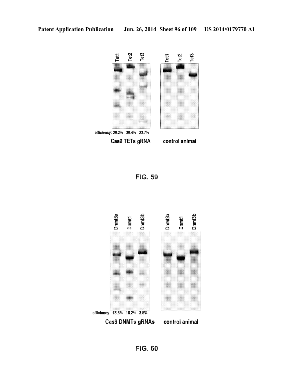 DELIVERY, ENGINEERING AND OPTIMIZATION OF SYSTEMS, METHODS AND     COMPOSITIONS FOR SEQUENCE MANIPULATION AND THERAPEUTIC APPLICATIONS - diagram, schematic, and image 97