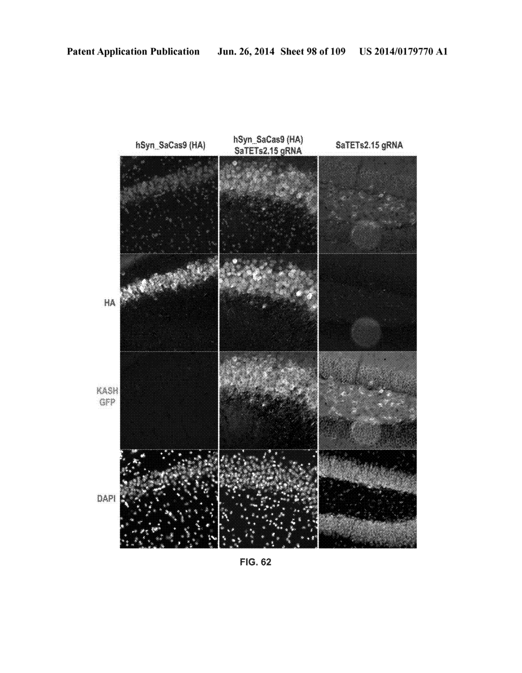 DELIVERY, ENGINEERING AND OPTIMIZATION OF SYSTEMS, METHODS AND     COMPOSITIONS FOR SEQUENCE MANIPULATION AND THERAPEUTIC APPLICATIONS - diagram, schematic, and image 99