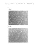 NEUROGENESIS SCREENING METHOD AND USES THEREOF diagram and image