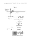 Treatment of Alzheimer s Disease Using Tolfenamic Acid diagram and image