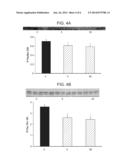 Treatment of Alzheimer s Disease Using Tolfenamic Acid diagram and image