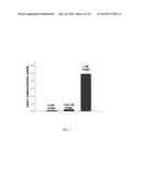 N1,N4-BIS(BUTA-1,3-DIENYL)BUTANE-1,4-DIAMINE PHARMACEUTICAL COMPOSITIONS     AND METHODS THEREOF diagram and image