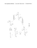 N1,N4-BIS(BUTA-1,3-DIENYL)BUTANE-1,4-DIAMINE PHARMACEUTICAL COMPOSITIONS     AND METHODS THEREOF diagram and image