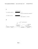 SMALL MOLECULE MODULATORS OF MICRORNA-34A diagram and image