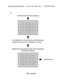 SMALL MOLECULE MODULATORS OF MICRORNA-34A diagram and image