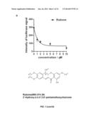 SMALL MOLECULE MODULATORS OF MICRORNA-34A diagram and image