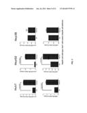 SMALL MOLECULE MODULATORS OF MICRORNA-34A diagram and image