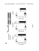 SMALL MOLECULE MODULATORS OF MICRORNA-34A diagram and image