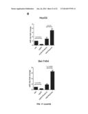 SMALL MOLECULE MODULATORS OF MICRORNA-34A diagram and image