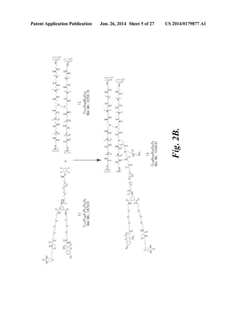 MACROMOLECULE CONJUGATE - diagram, schematic, and image 06