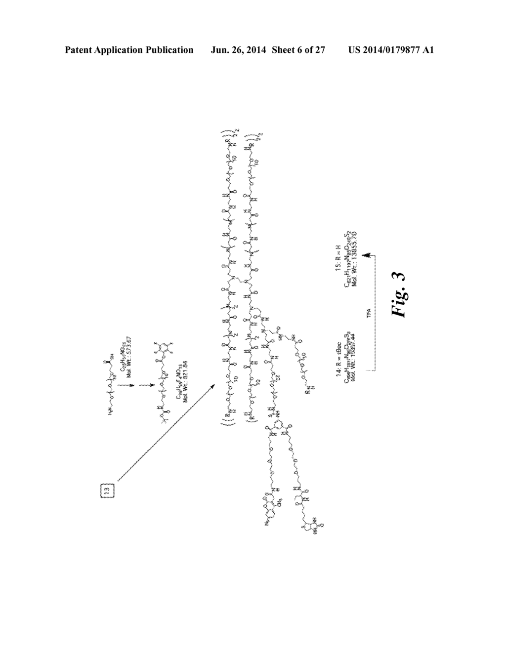 MACROMOLECULE CONJUGATE - diagram, schematic, and image 07