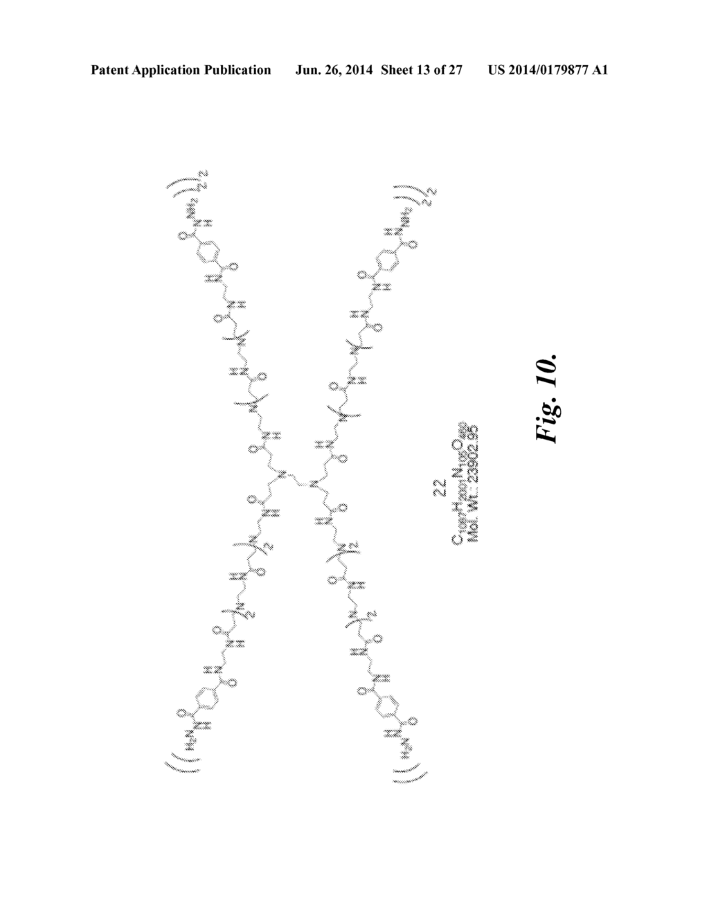 MACROMOLECULE CONJUGATE - diagram, schematic, and image 14