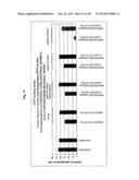 TREATMENT OF ATHEROSCLEROSIS WITH CHOLESTEROL ESTER TRANSPORT PROTEIN     MIMOTOPES diagram and image