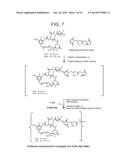 CONJUGATION METHODS diagram and image