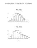 CONJUGATION METHODS diagram and image