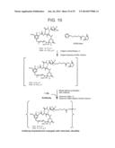 CONJUGATION METHODS diagram and image