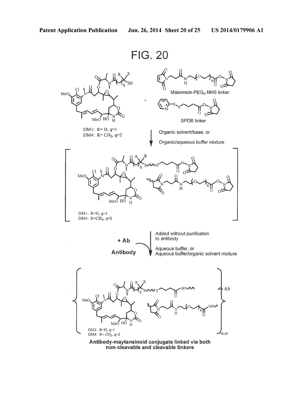 CONJUGATION METHODS - diagram, schematic, and image 21