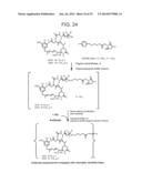 CONJUGATION METHODS diagram and image