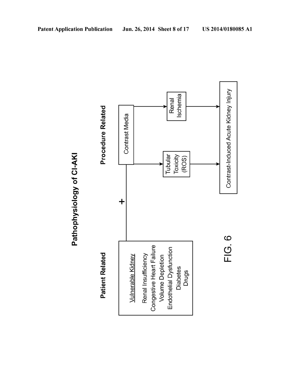 Renal Injury Inhibiting Devices, Systems, and Methods Employing     Low-Frequency Ultrasound or Other Cyclical Pressure Energies - diagram, schematic, and image 09