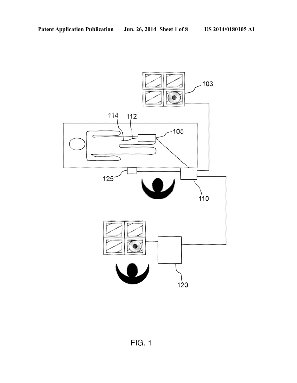 SYSTEM AND METHOD FOR MULTIPATH PROCESSING OF IMAGE SIGNALS - diagram, schematic, and image 02