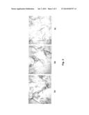 METHOD FOR PRODUCING MODIFIED CELLULOSE diagram and image