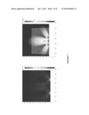 NUCLEIC ACID SAMPLE PREPARATION diagram and image